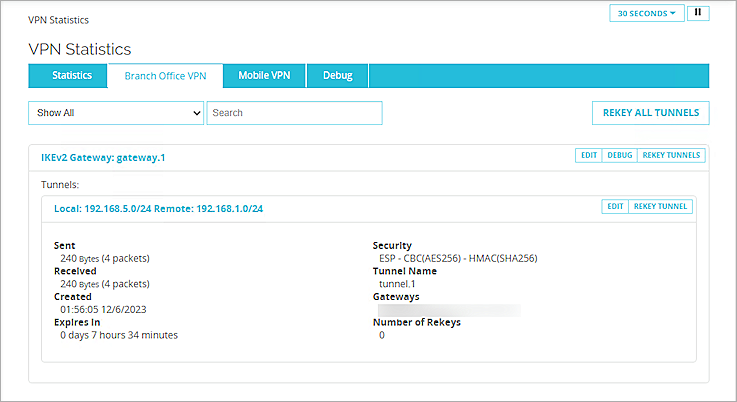 Screenshot of firebox, picture10, vpn statistics.